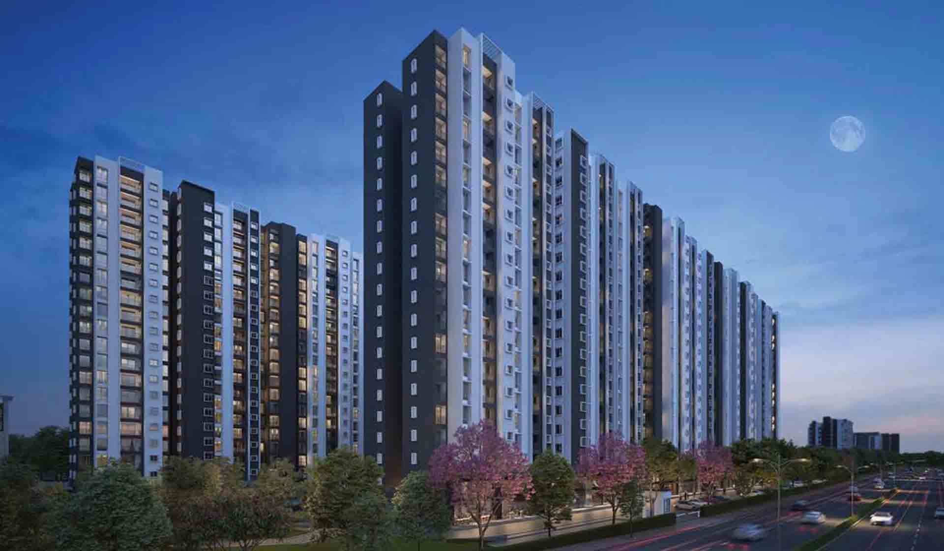 Provident Developer 